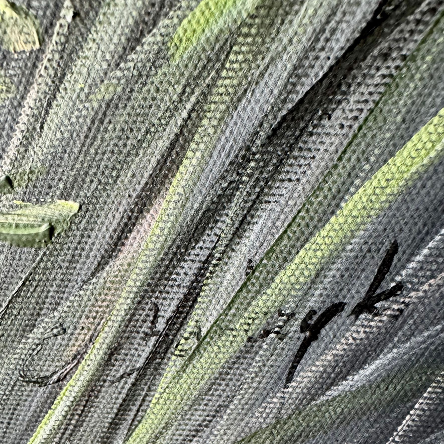 Obraz z kwiatami malowany na płótnie 2249Z “Łąka na wietrze” 80x80cm